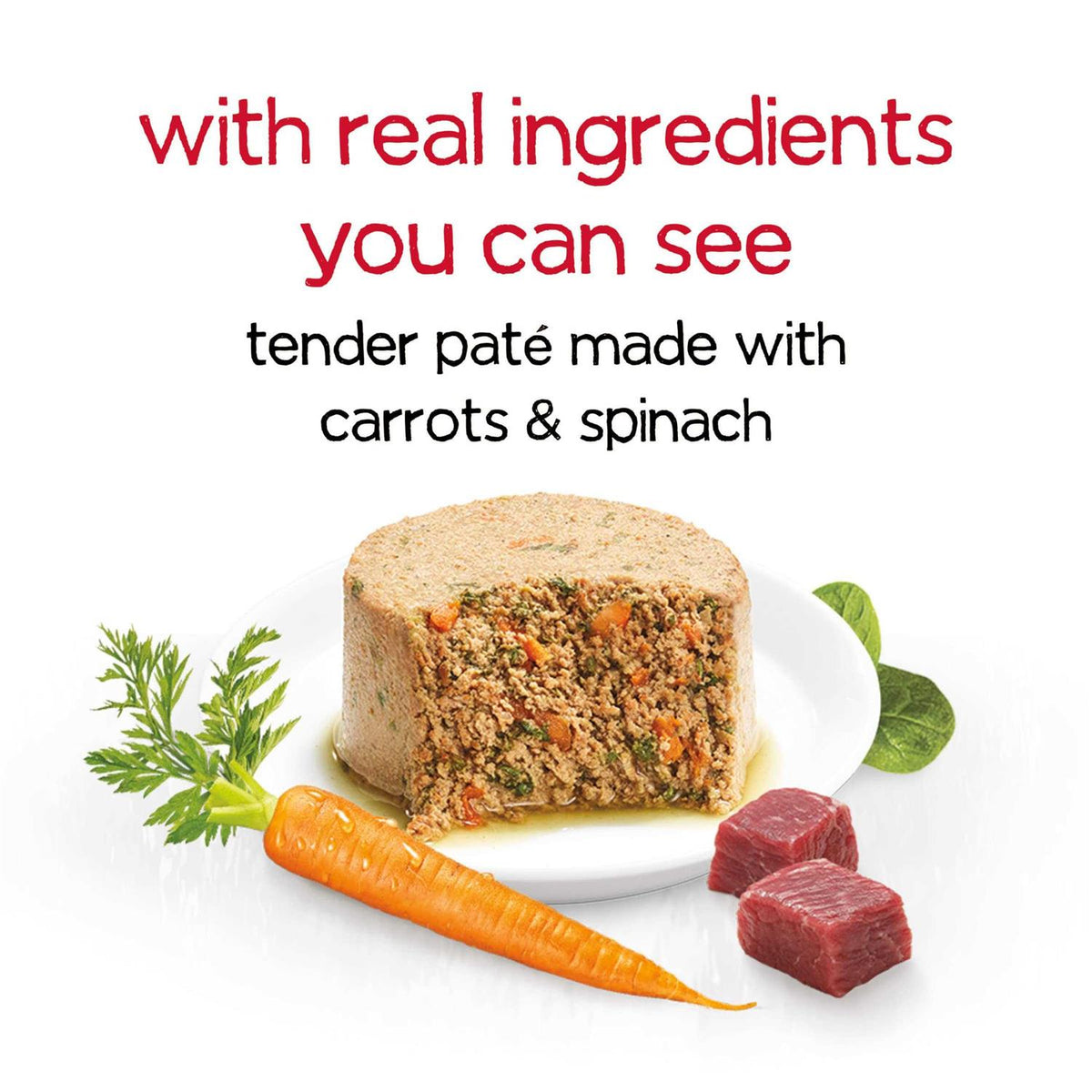 Dog Food Q645111