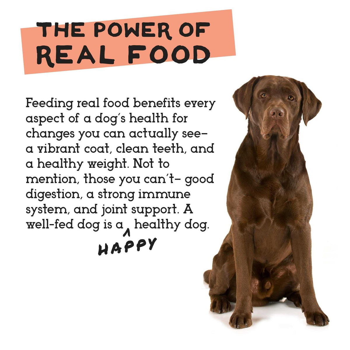 Freeze-Dried Chicken & Turkey Dog Food S4328