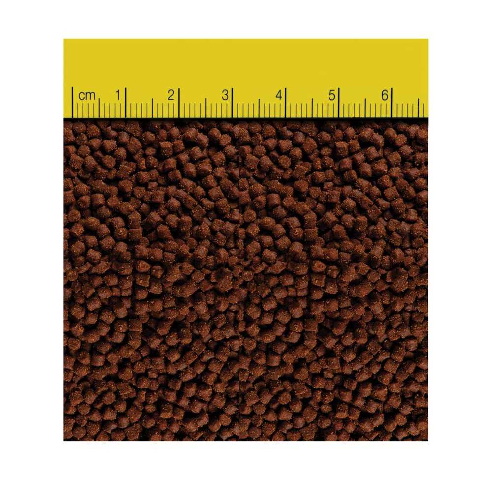 3 oz Extra Small TDO-C1 N3921