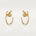 Earrings U933