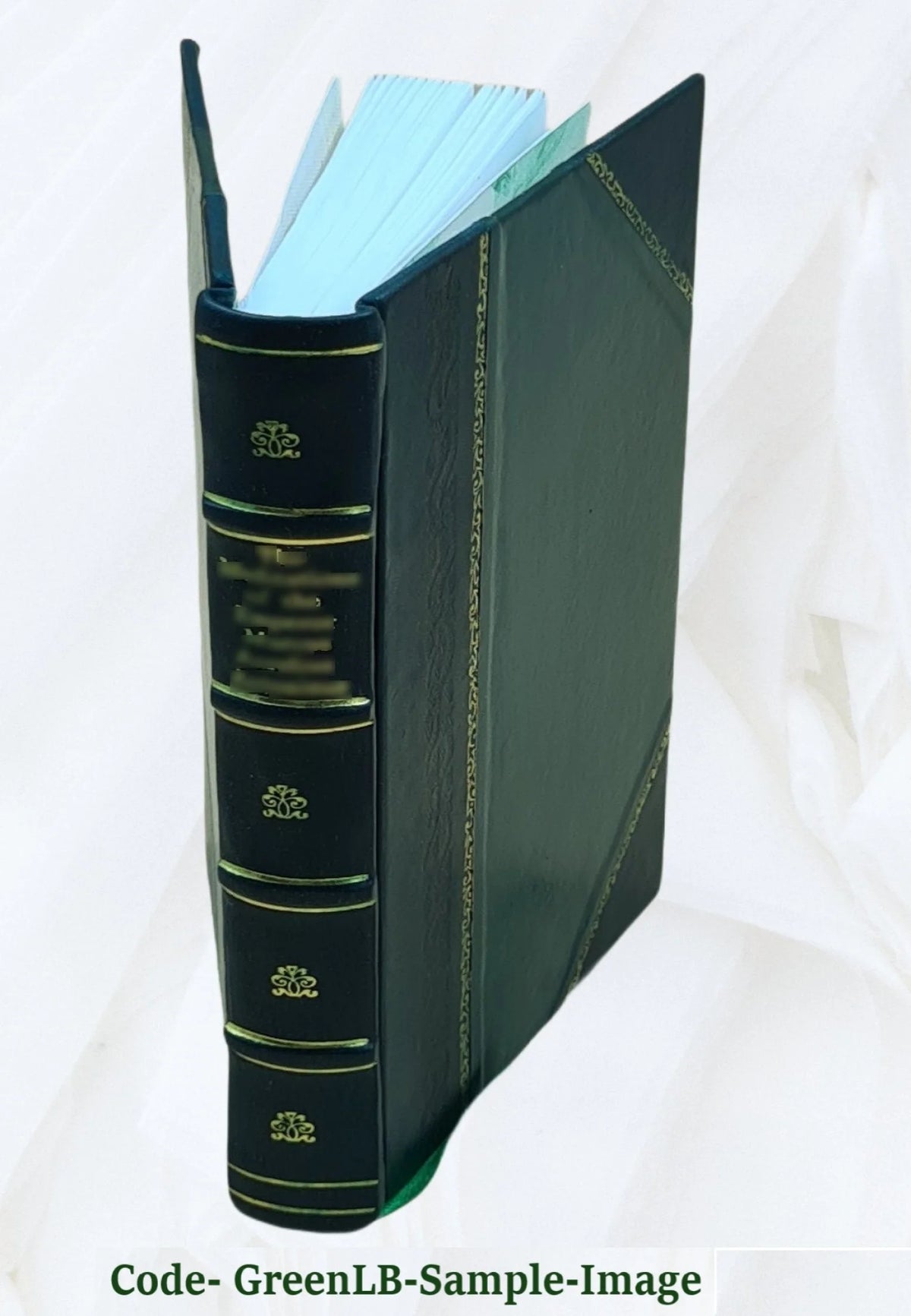 Leather Bound Book J808270