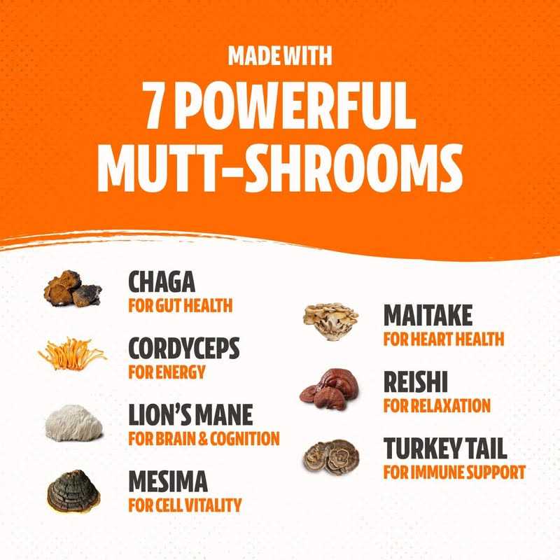 Organic Mushroom Complex for Dogs T529