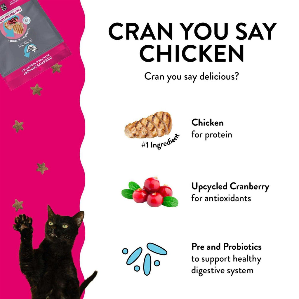 Crunchy Cat Treats C634396