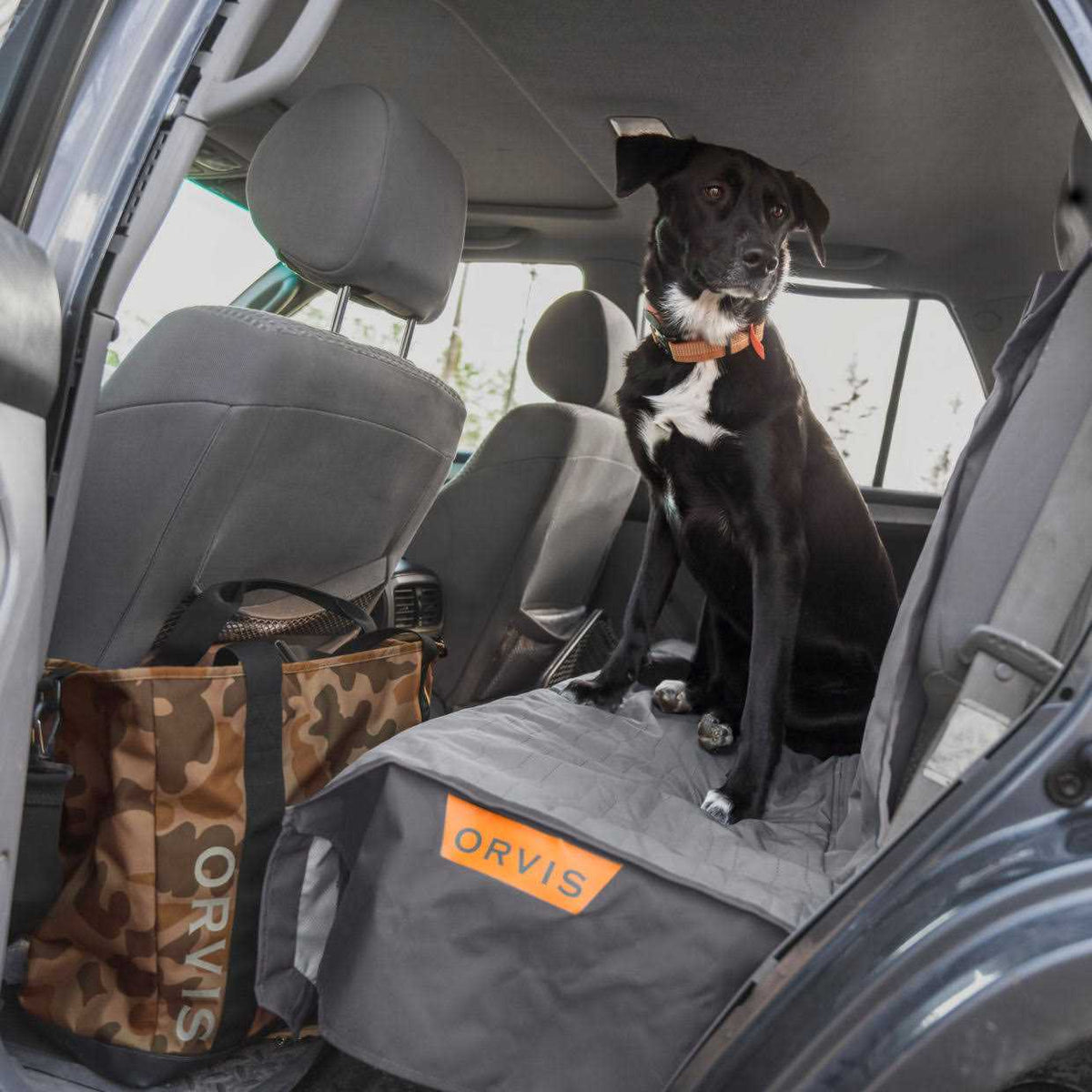Dog Tote H8772
