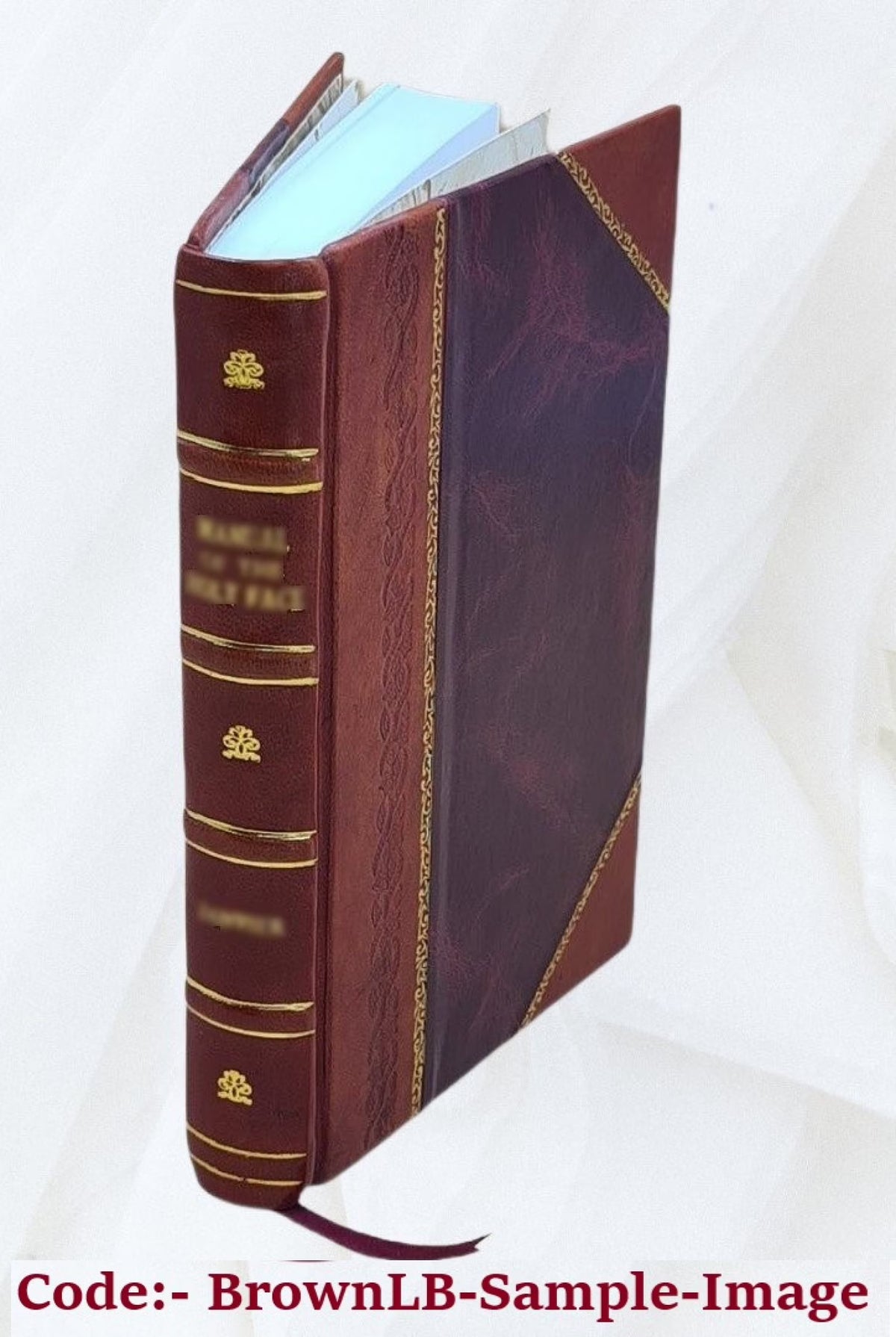 Leather Bound Book J808270