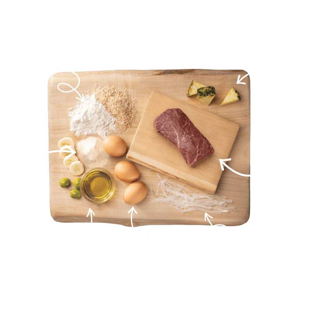 No Hide Strips O25940