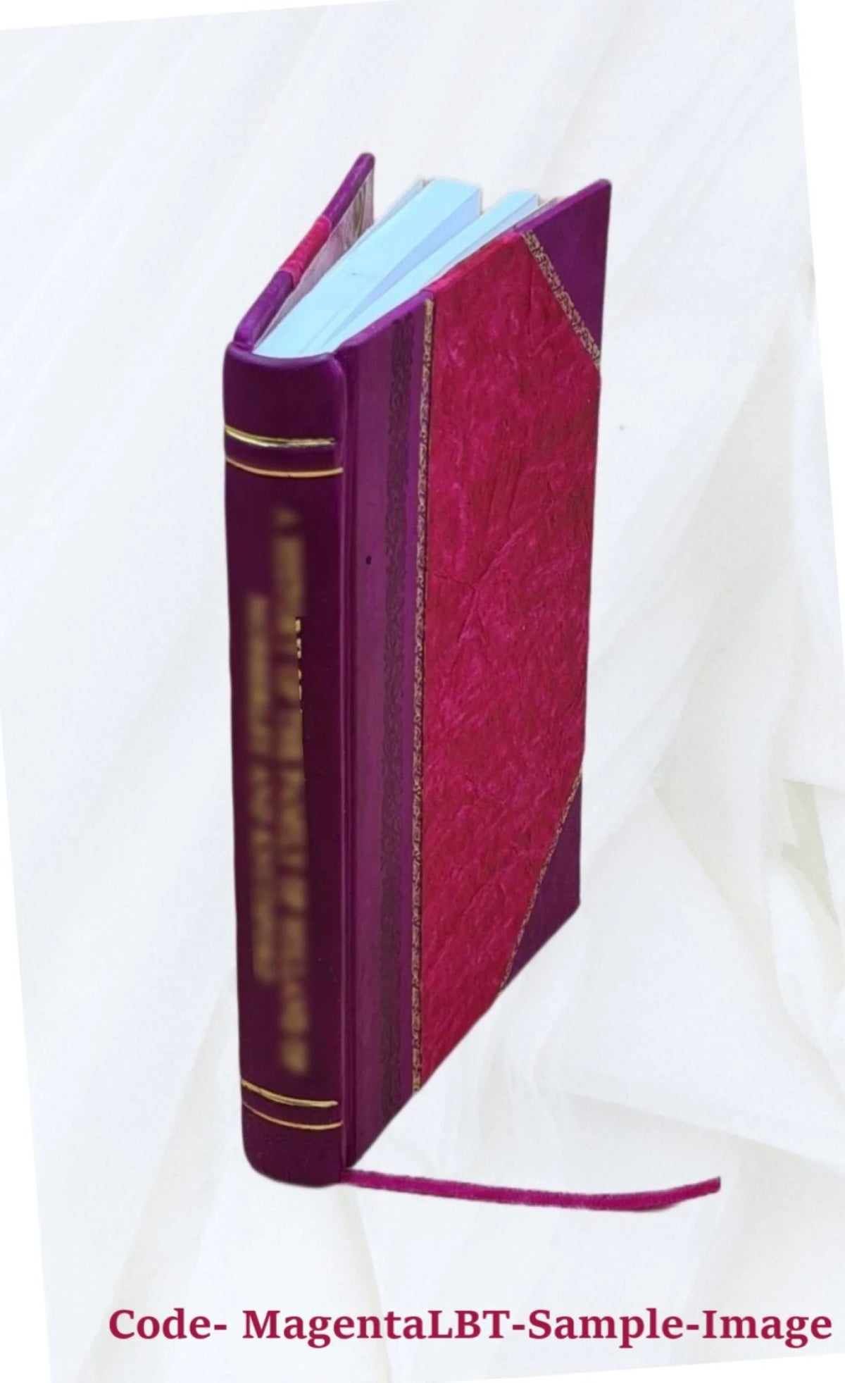 Leather Bound B13377