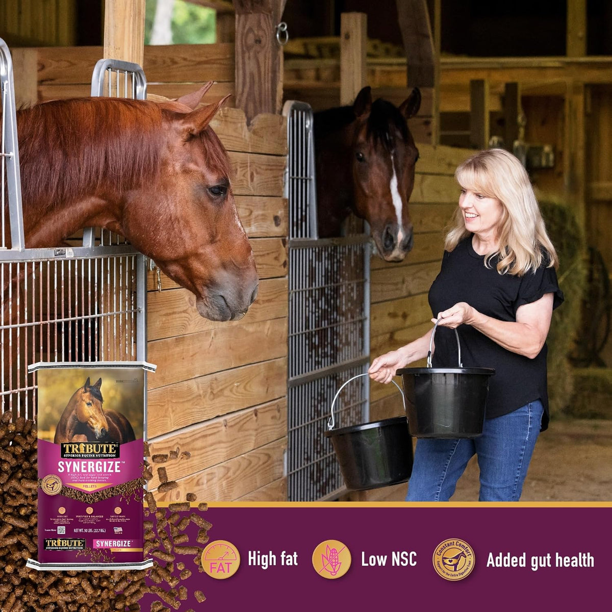 low NSC high fat pelleted horse feed X552