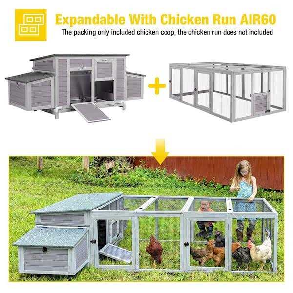 Wooden Chicken Coop for 2-4 Chickens A495