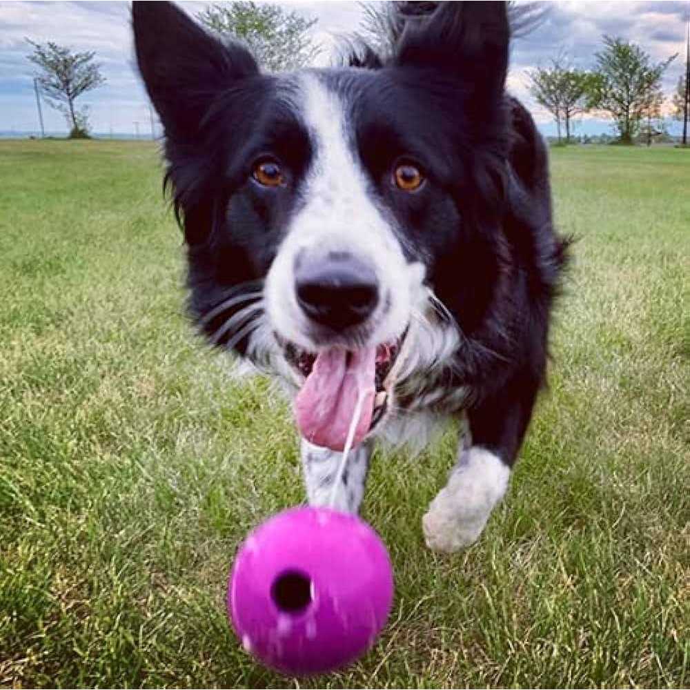Natural Rubber Fetch Balls Toy I989321