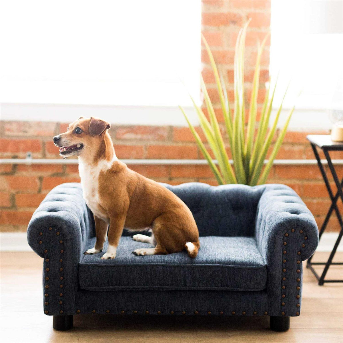 Sofa Dog Bed K173393