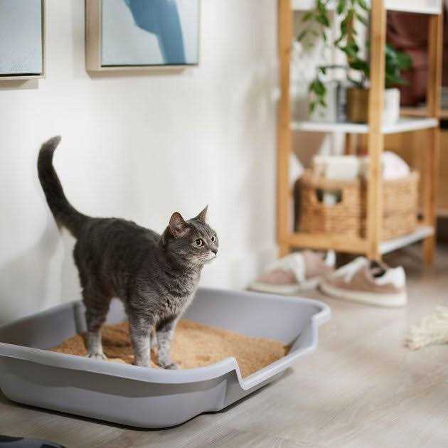 Catalyst Cat Litter Soft Wood F15125