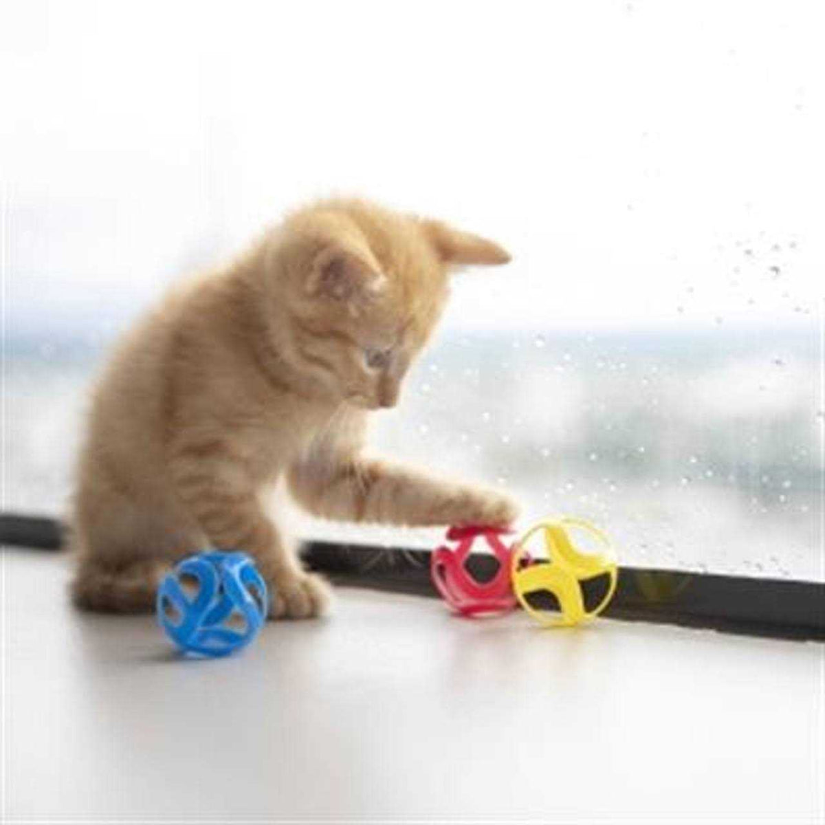 Cat Crazies Toy I623331