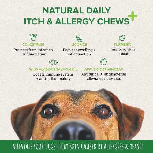 Salmon Fish Oil Dog Supplement E983