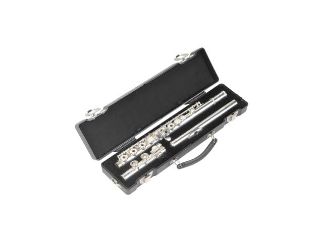 Flute Cases R72567