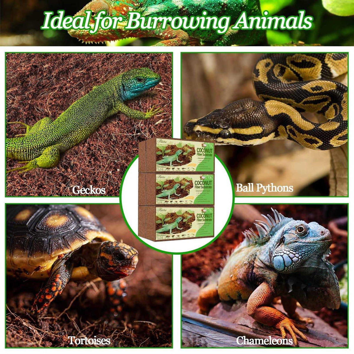 Natural Coconut Fiber Reptile Terrarium Bedding O94068