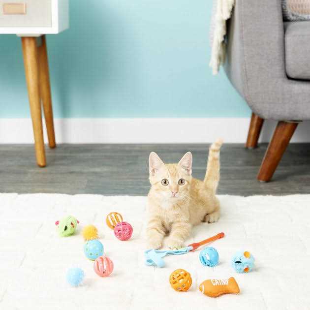 Cat Toy Variety Pack O224