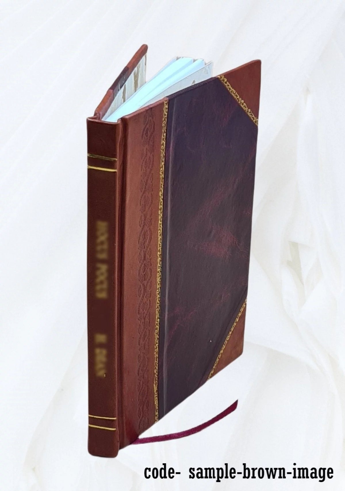 Leather Bound B13377