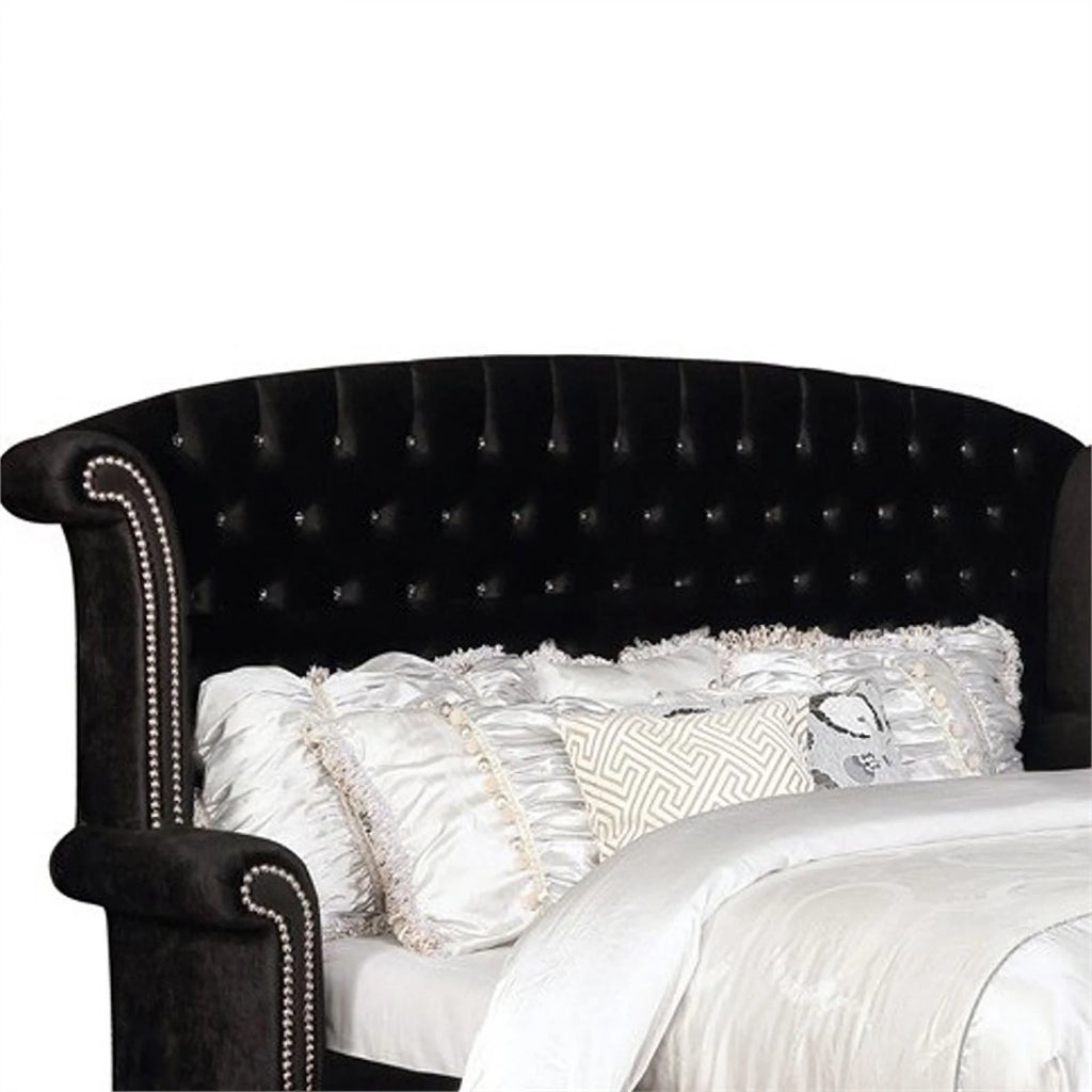 Black Wooden Eastern King Bed with Wing Back and Button Tufting E70503