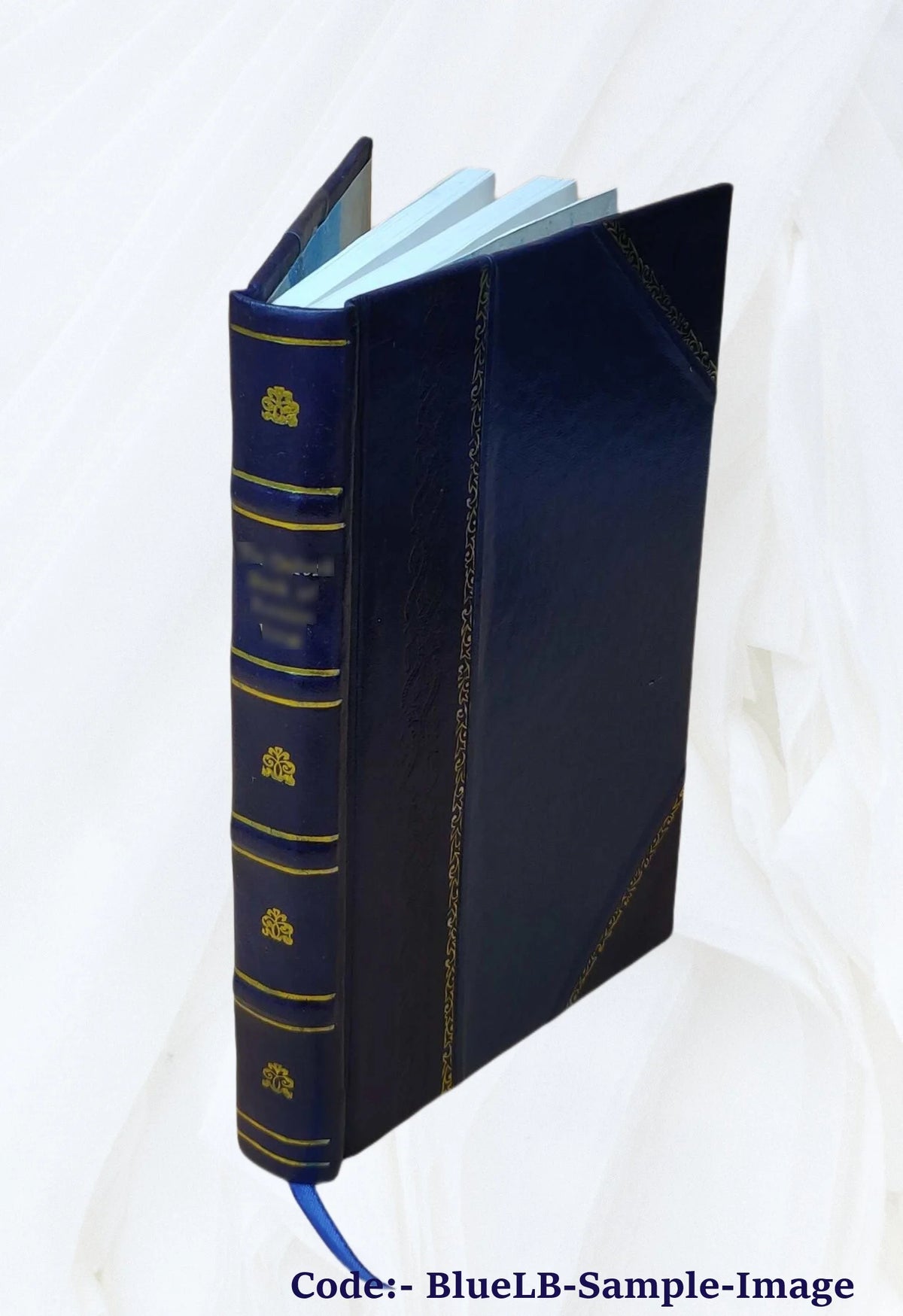 Leather Bound Book J808270