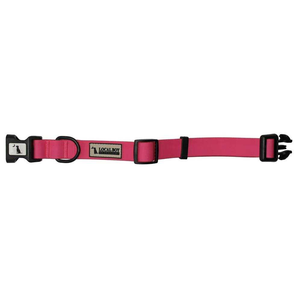 Dog Collar Z16905