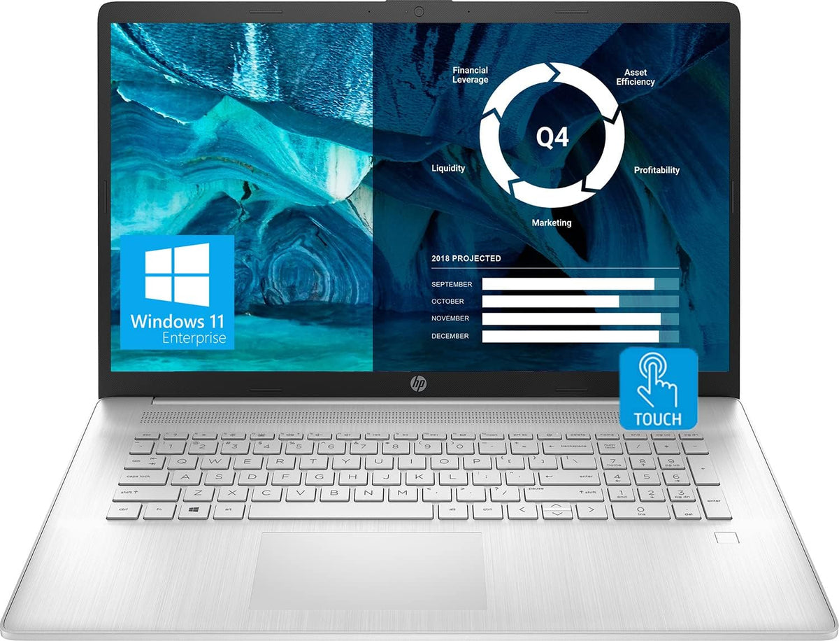 17.3'' HD+ Touchscreen AMD Ryzen 5 16GB RAM 1TB SSD Windows 11 Enterprise Silver Notebook Laptop E637997