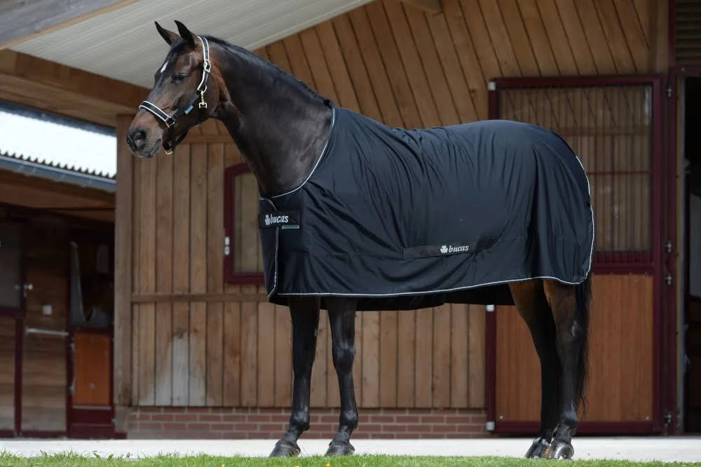Black 170 Turnout Blanket A4123