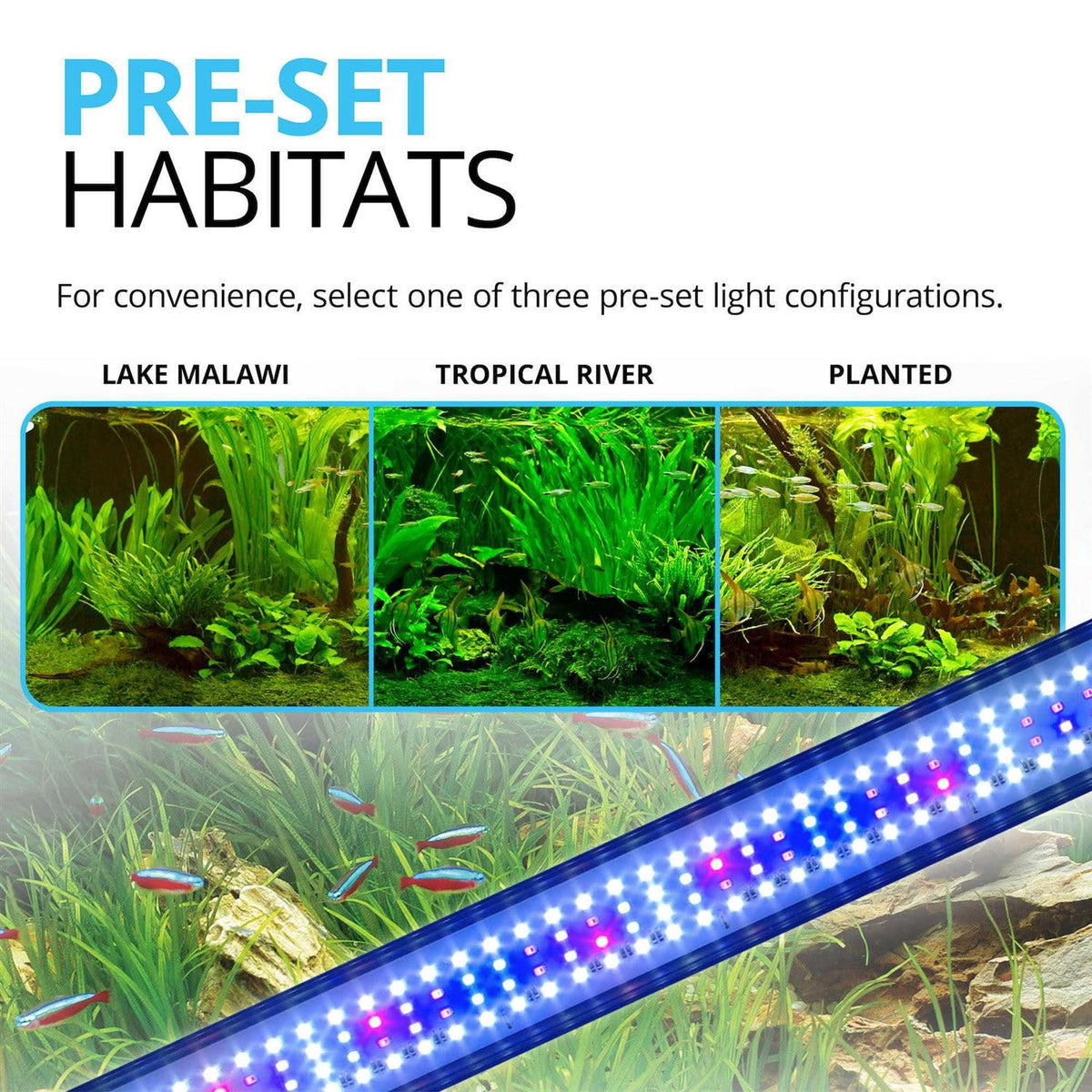 Plant 3.0 LED R4263