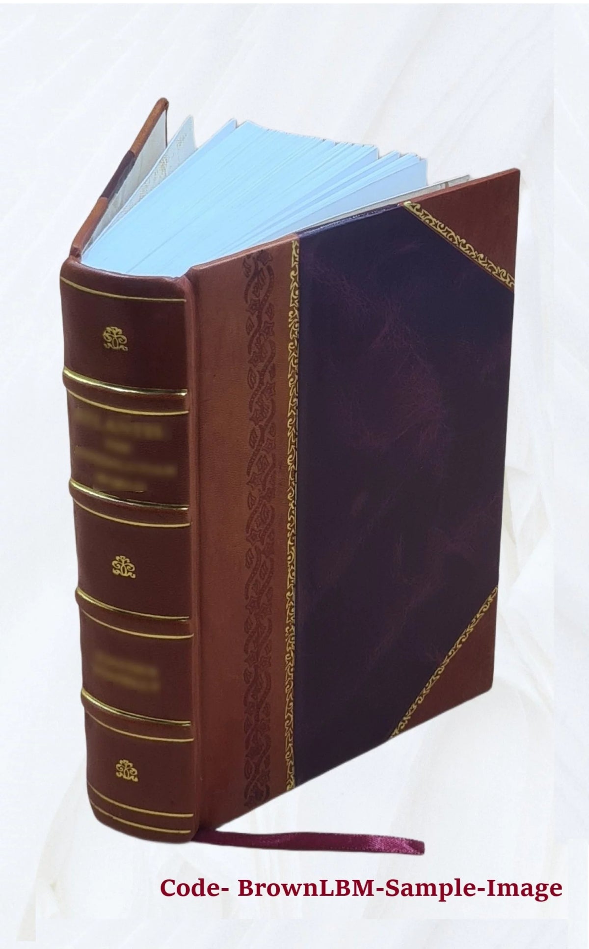 Loi Criminelle Leather Bound R7705