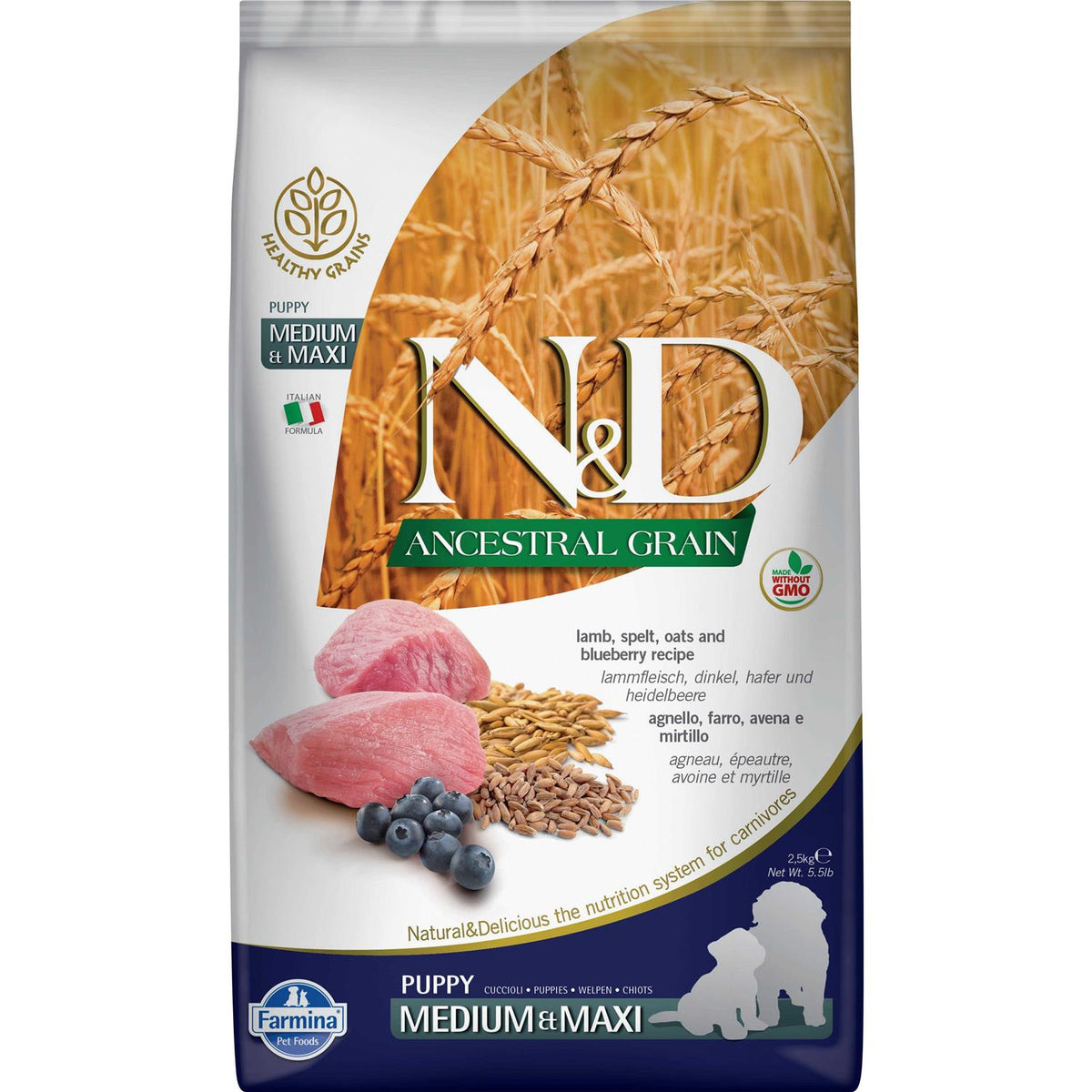 Lamb & Blueberry Dry Dog Food Y31214