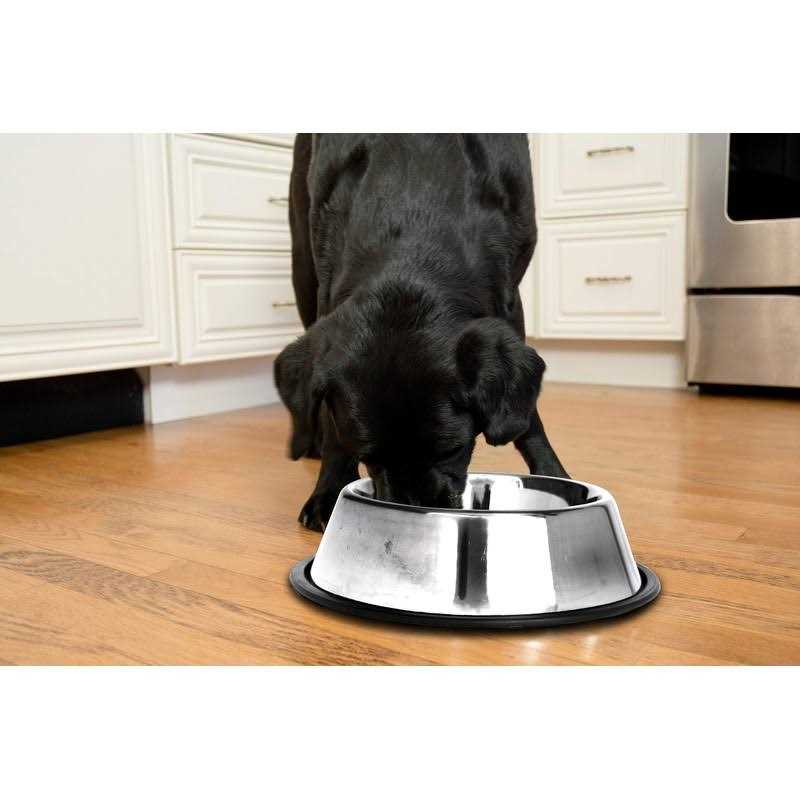 2 Pack Stainless Steel Non-Skid Pet Bowl G8016