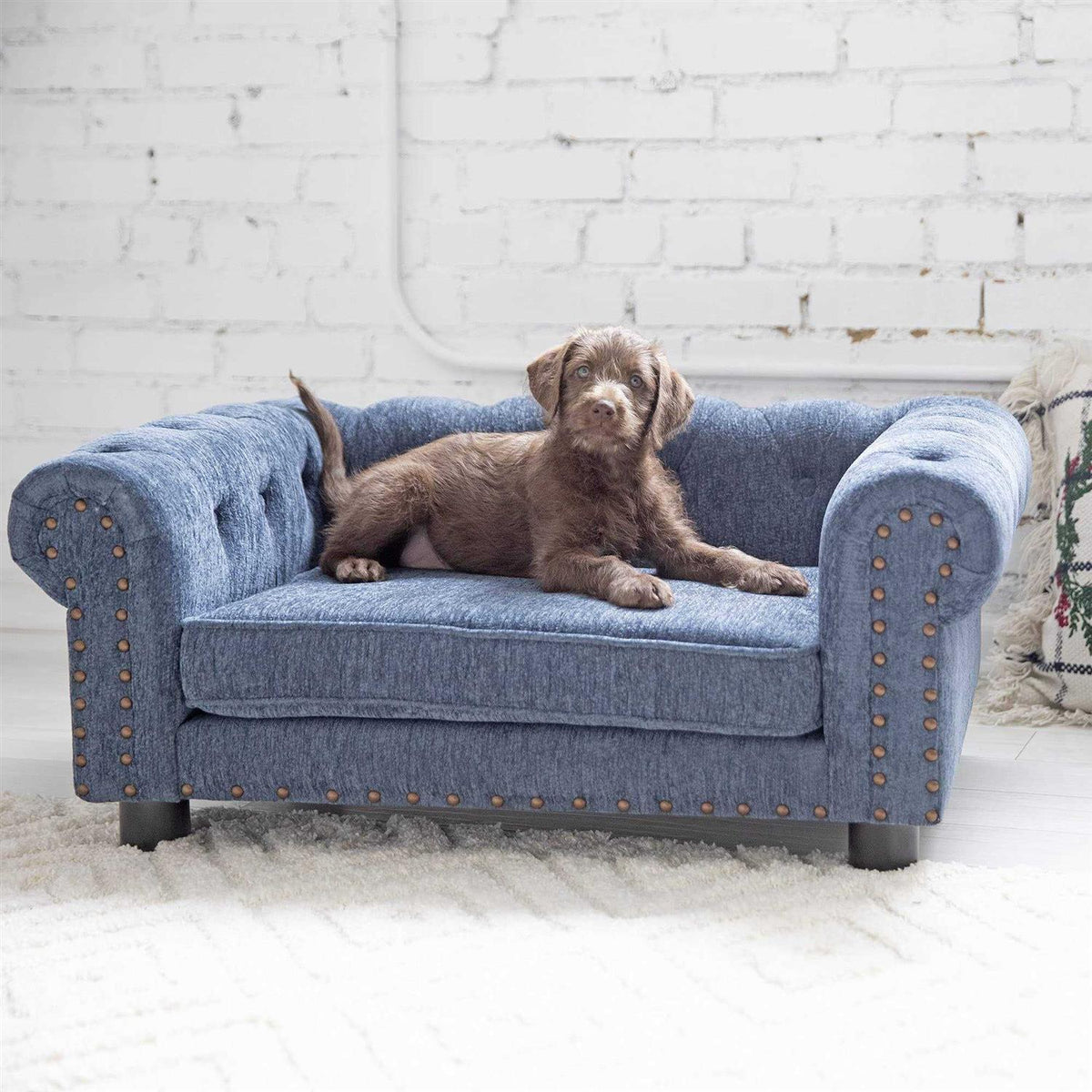 Sofa Dog Bed K173393