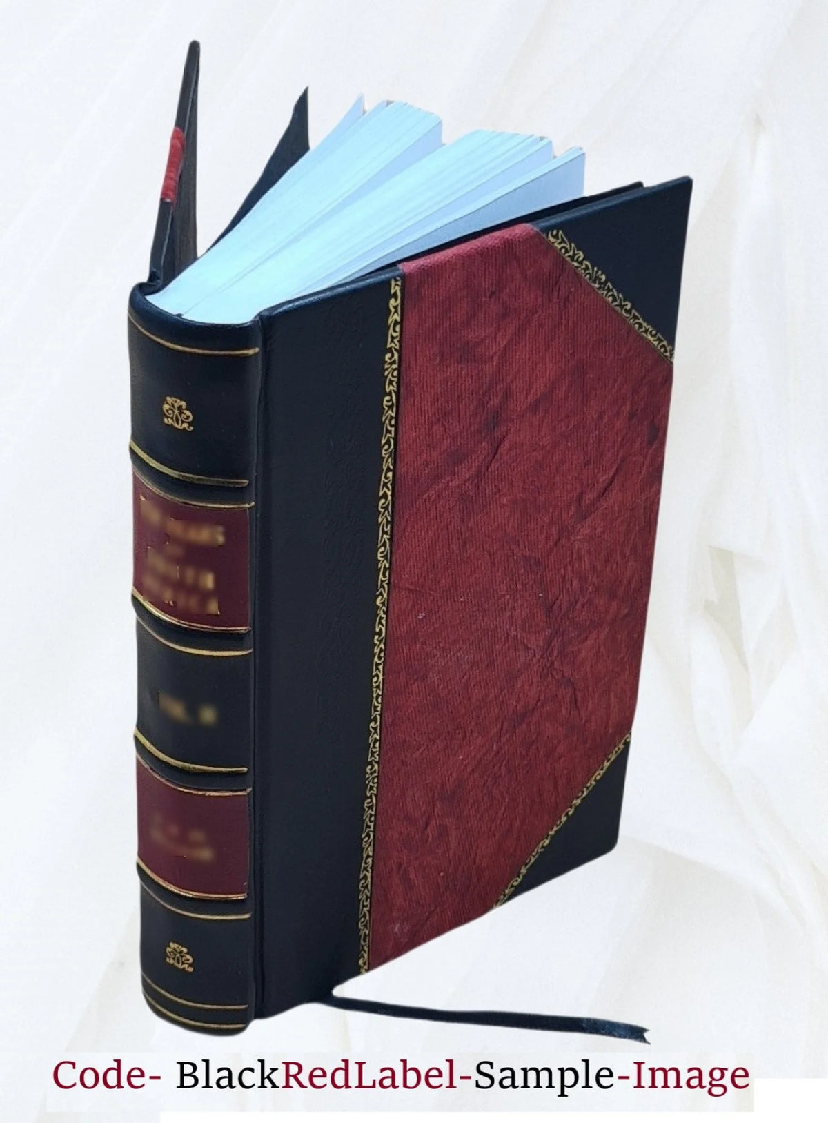 Leather Bound Book J808270